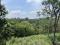 1.45 ACRE RESORT/ VILLA LAND