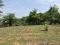 2 ACRE INVESTMENT LAND BORDERING FOREST AREA