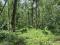 2.75 ACRE JENMAM LAND WITH RUBBER CULTIVATION