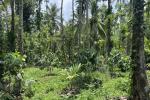 3.25 ACRE MIXED CULTIVATION LAND