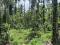 3.25 ACRE MIXED CULTIVATION LAND