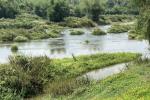 2 ACRE KABANI RIVER FRONTAGE TOURISM PROPERTY