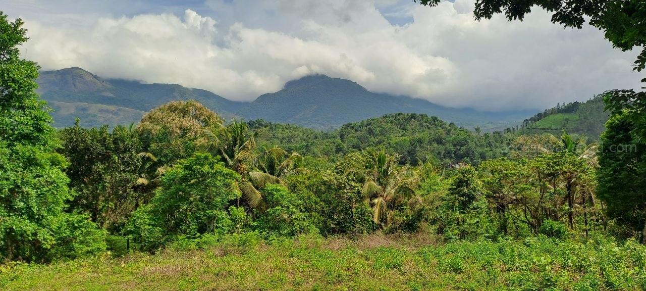 3.5 ACRE BEAUTIFUL RESORT LAND WITH SPECTACULAR MOUNTAIN VIEW