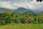 3.5 ACRE BEAUTIFUL RESORT LAND WITH SPECTACULAR MOUNTAIN VIEW