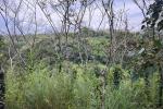 3 Acre Farm Land