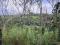 3 Acre Farm Land
