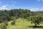 1 Acre Beautiful Resort Land