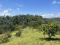 1 Acre Beautiful Resort Land
