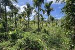 1.5 ACRE FARM LAND