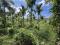 1.5 ACRE FARM LAND