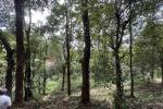 Resort Land Ideal for Tourism Purpose