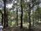 Resort Land Ideal for Tourism Purpose
