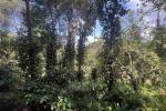 5.16 ACRE PROPERTY WITH HOUSE