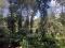 5.16 ACRE PROPERTY WITH HOUSE