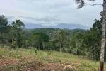 12 ACRE RESORT LAND WITH VIEWS 