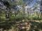 3.5 Acre Land with Old House