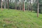 8.5 ACRE COMMERCIAL LAND