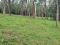 8.5 ACRE COMMERCIAL LAND