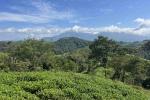 35 ACRE LAND WITH HOUSE