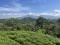 35 ACRE LAND WITH HOUSE
